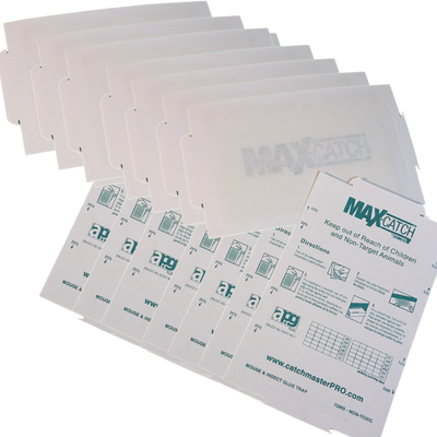 Trampas adhesivas Max Catch para ratones y plagas – Pack 15 piezas